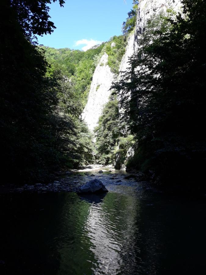Timi Kulcsoshaz Ξενοδοχείο Lăzarea Εξωτερικό φωτογραφία