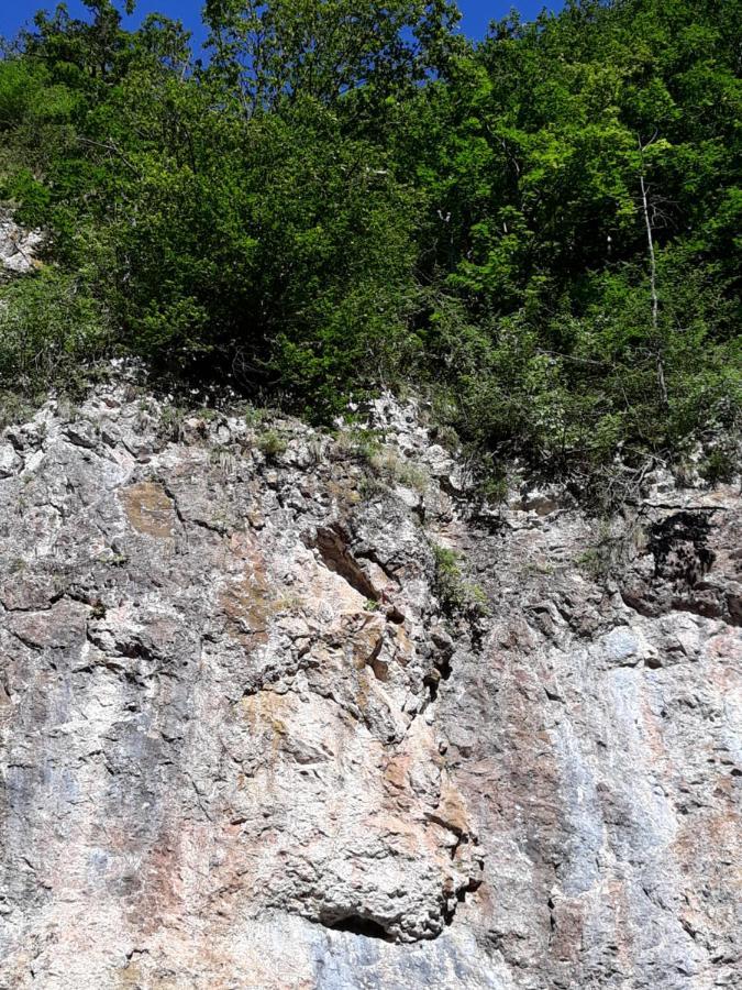 Timi Kulcsoshaz Ξενοδοχείο Lăzarea Εξωτερικό φωτογραφία