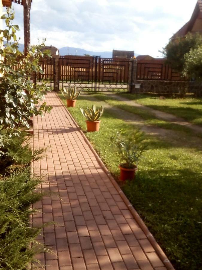 Timi Kulcsoshaz Ξενοδοχείο Lăzarea Εξωτερικό φωτογραφία